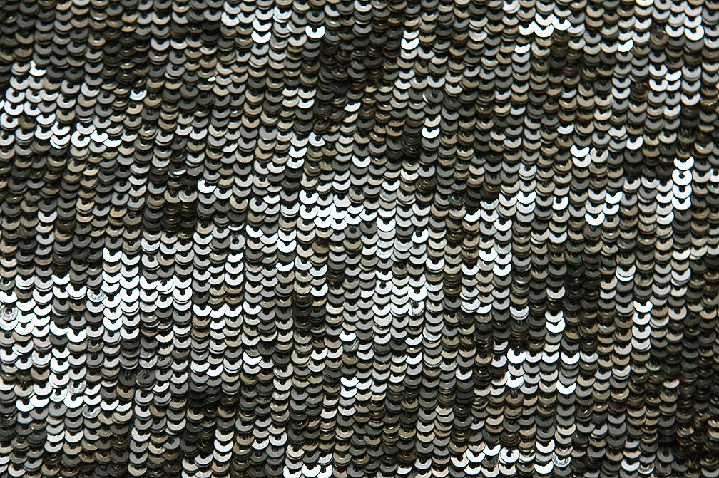 Sequins on Silk Chiffon2