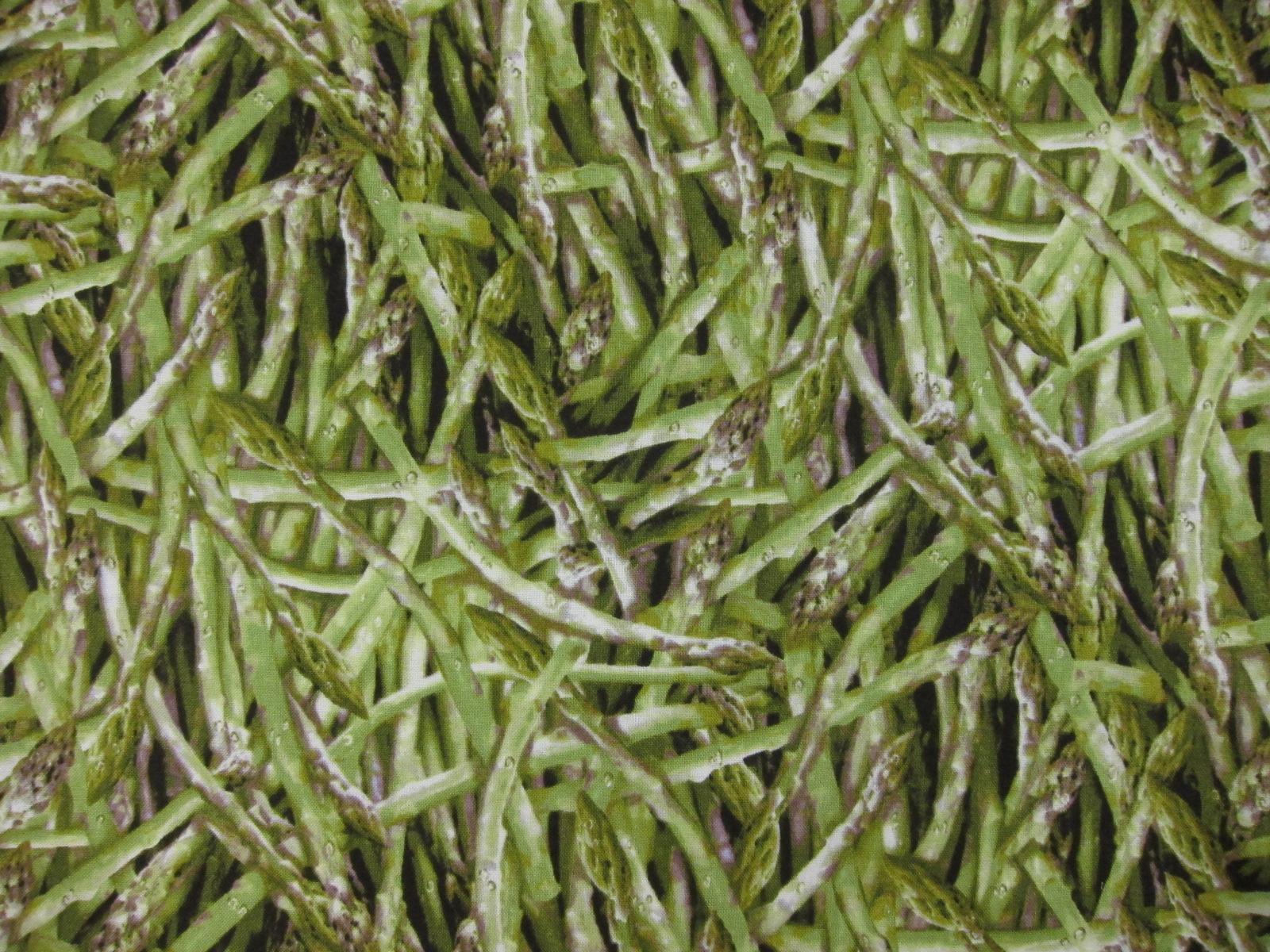 Cotton Broadcloth Print0