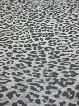 Printed Silk Chiffon1