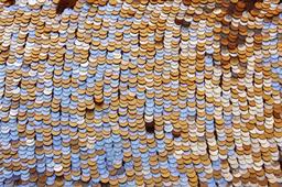 Pailettes on Silk Chiffon1