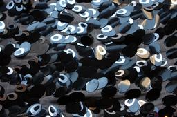 Novelty Paillettes on Silk Chiffon0