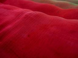 Iridescent Tie Dye Ombré Silk Chiffon1