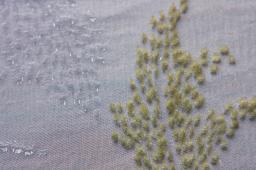 Silk Lurex Cut Velvet2