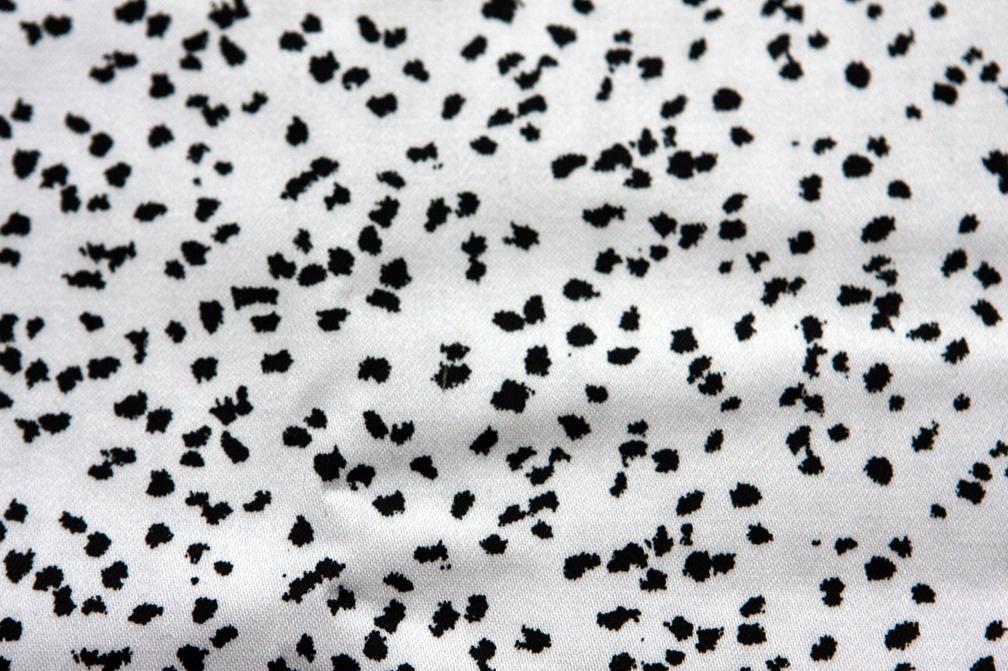 Cotton Sateen Spandex Print2