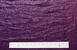 Sequins on Silk Chiffon1