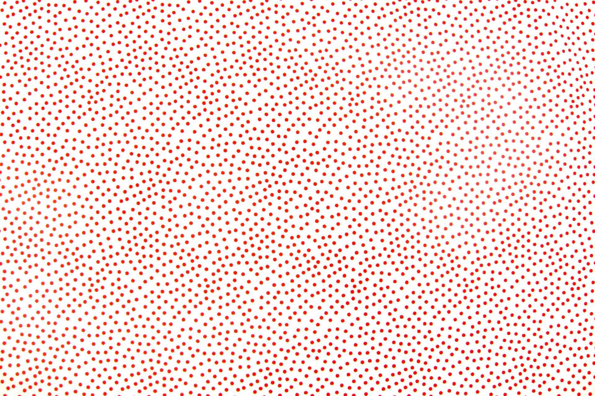 Cotton Broadcloth Print0