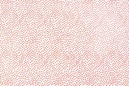 Cotton Broadcloth Print0