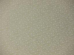 Cotton Broadcloth Print0