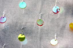 Paillettes on Silk Chiffon2