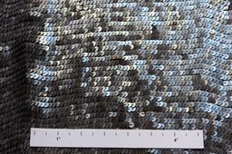 Sequins on Silk Chiffon2