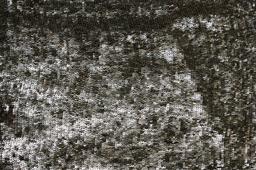 Sequins on Silk Chiffon0