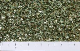 Sequins on Silk Chiffon1