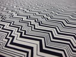 Cotton Broadcloth Print2