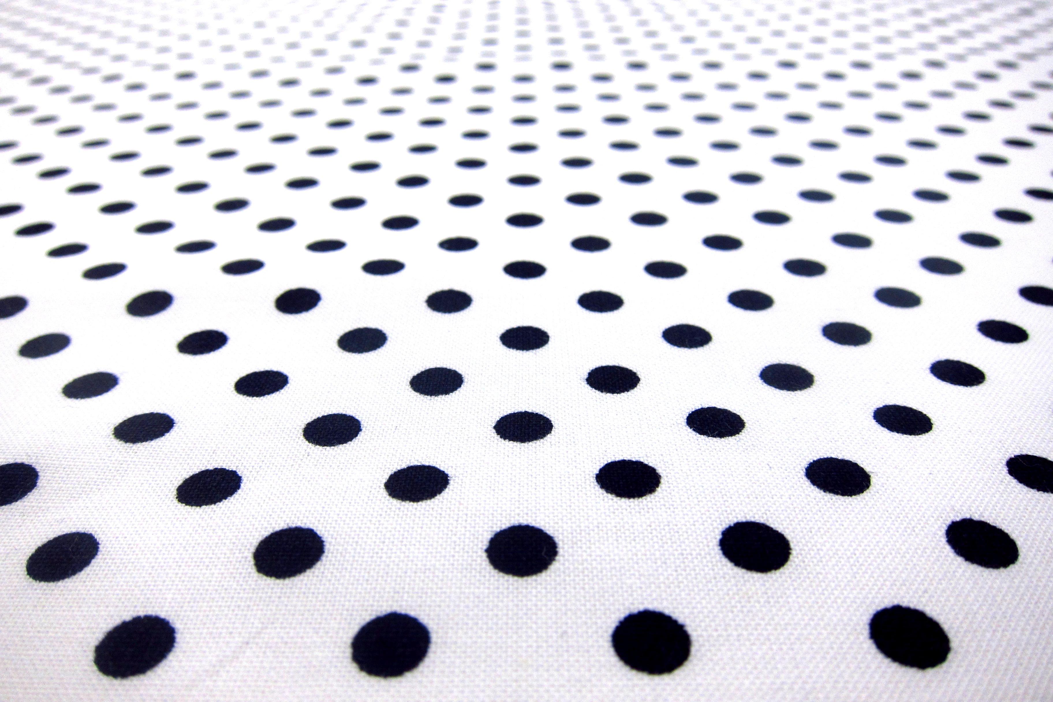 Cotton Broadcloth Print