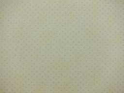 Cotton Broadcloth Print0