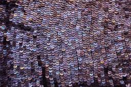 Sequins on Silk Chiffon1