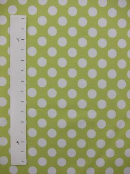Cotton Broadcloth Print1