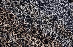 Printed Silk Charmeuse1