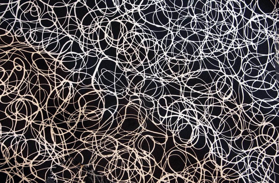 Printed Silk Charmeuse1