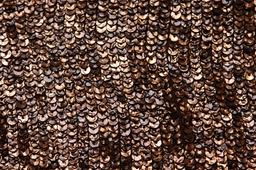 Sequins on Silk Chiffon2