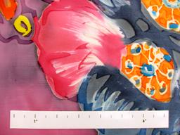 Printed Silk Burn out Chiffon1