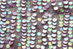 Novelty Sequins on Silk Chiffon3
