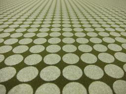 Cotton Broadcloth Print2