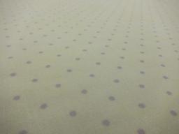 Cotton Broadcloth Print2