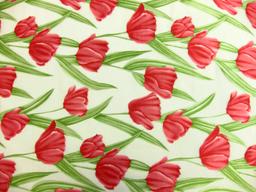 Printed Silk Burnout Chiffon0