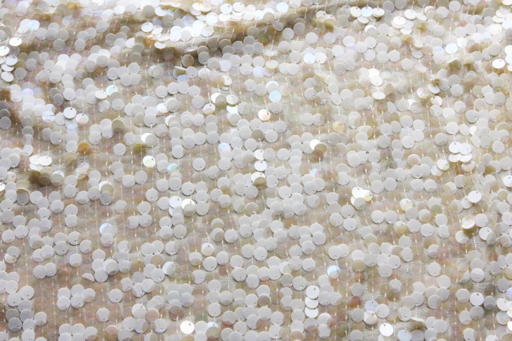 Novelty Paillettes on Silk Chiffon1