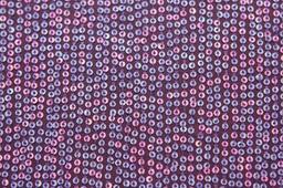 Sequins on Silk Chiffon2