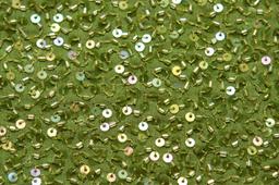 Sequins on Silk Chiffon2