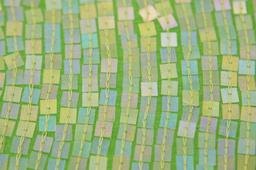 Sequins on Silk Chiffon2