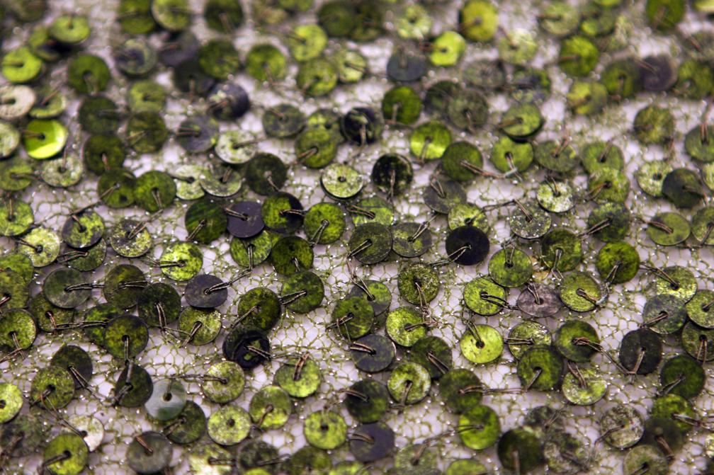 Sequins on Metallic Tulle2