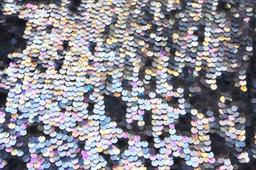 Novelty Paillettes on Silk Chiffon1