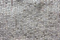 Sequins on Silk Chiffon2