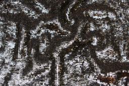 Sequins on Silk Chiffon3