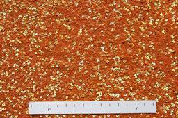 Sequins on Silk Chiffon1