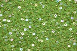 Sequins on Silk Chiffon2