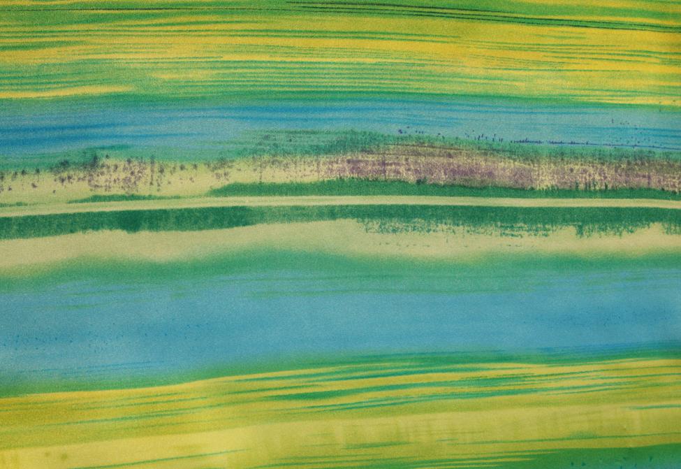 Printed Silk Charmeuse1