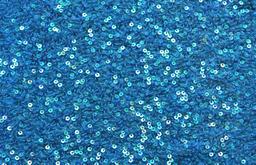 Sequins on Silk Chiffon0