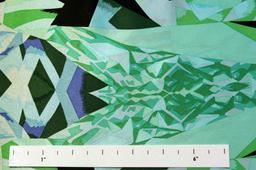 REDUCED Printed Silk Charmeuse1
