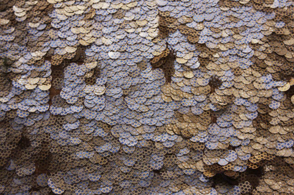 Novelty Paillettes on Silk Chiffon1