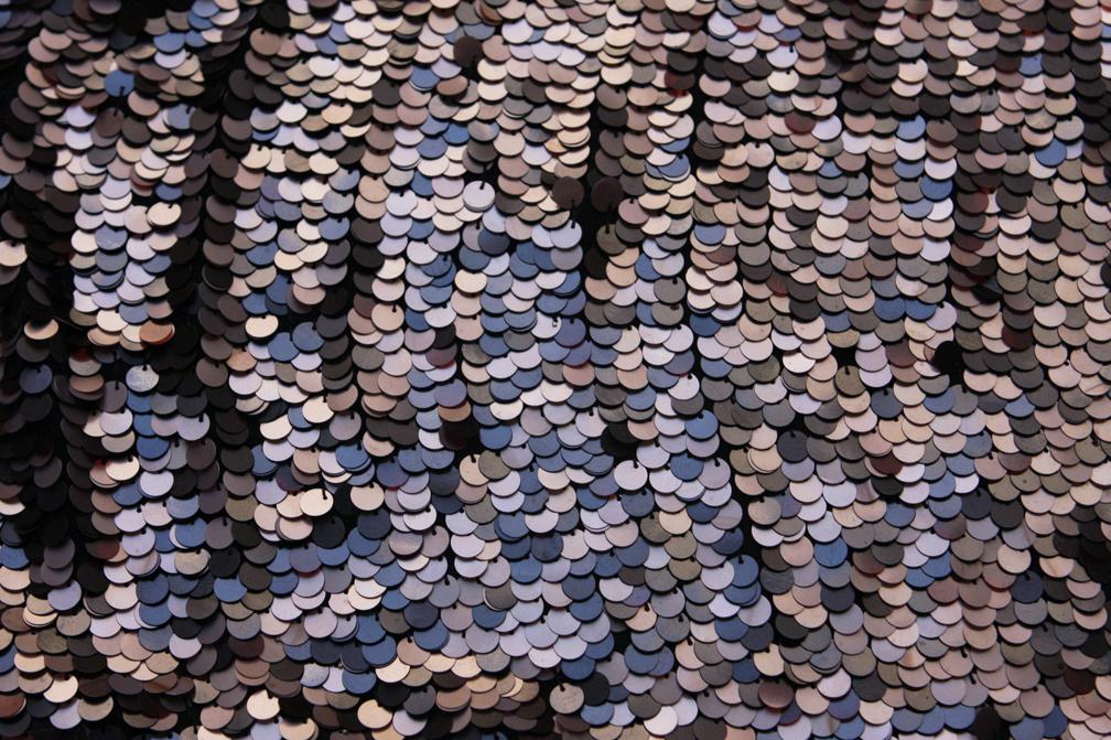 Paillettes on Silk Chiffon1