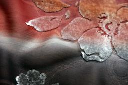Silk Rayon Burn Out Velvet1