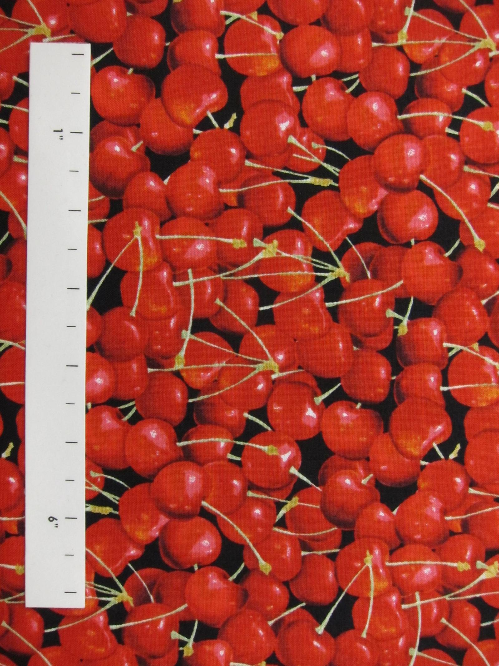 Cotton Broadcloth Print1