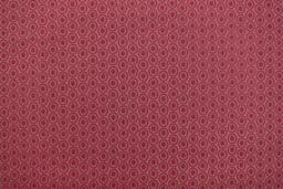 Cotton Broadcloth Print0