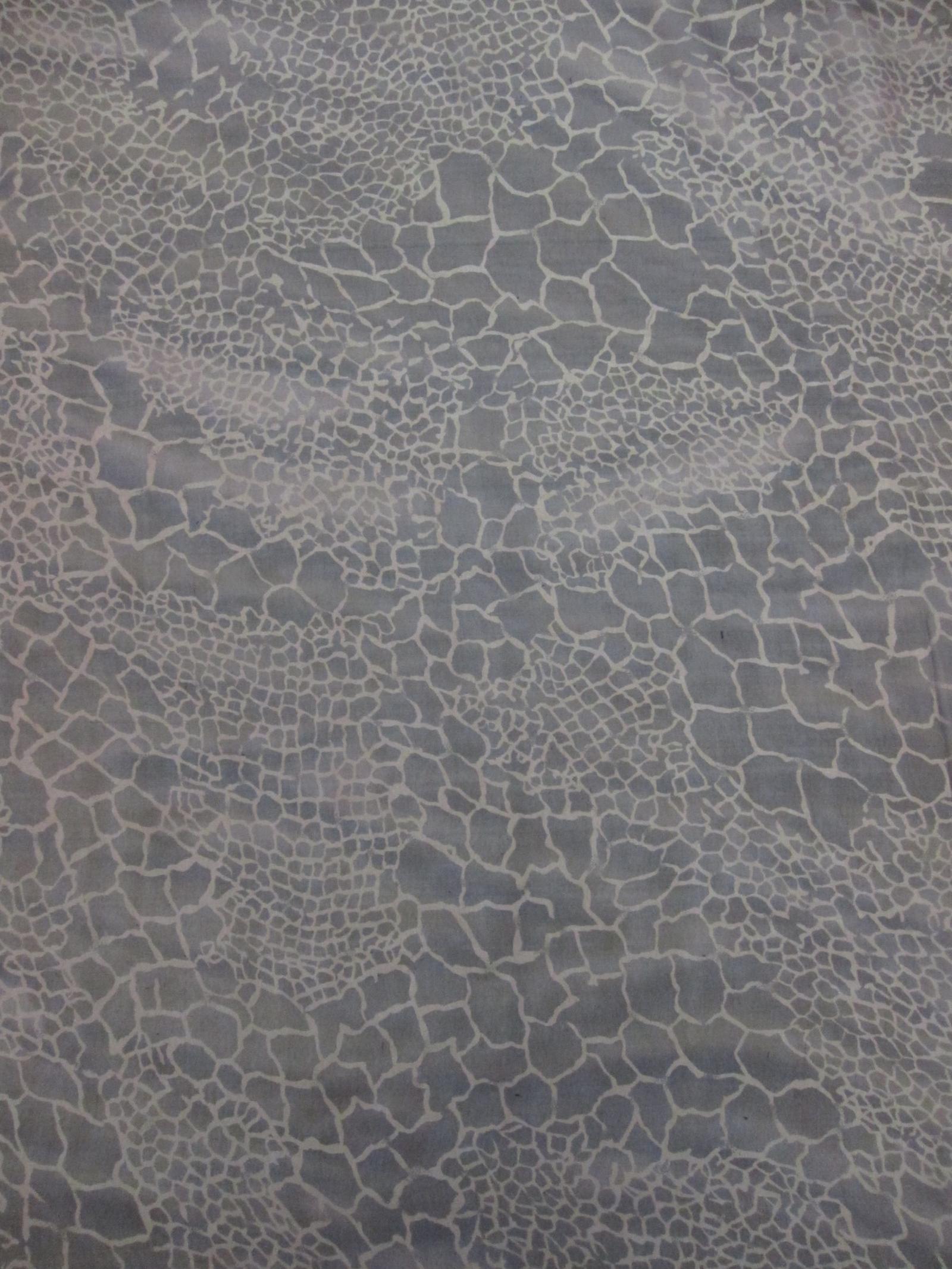 Iridescent Silk Chiffon Print1