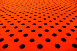 Cotton Broadcloth Print2