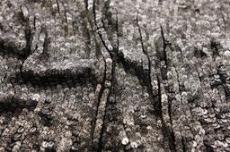 Novelty Sequins on Silk Chiffon3